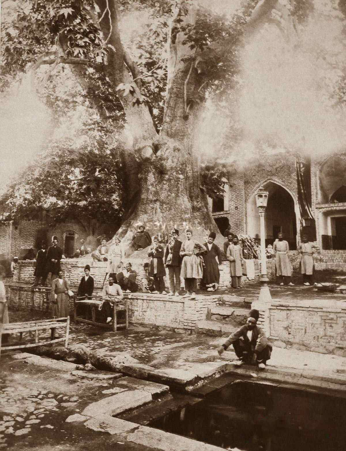 پیرمردی که داخل چنار امامزاده صالح کفاشی داشت/ عجیب‌ترین کفاش و قهوه‌چی تهران را بشناسید