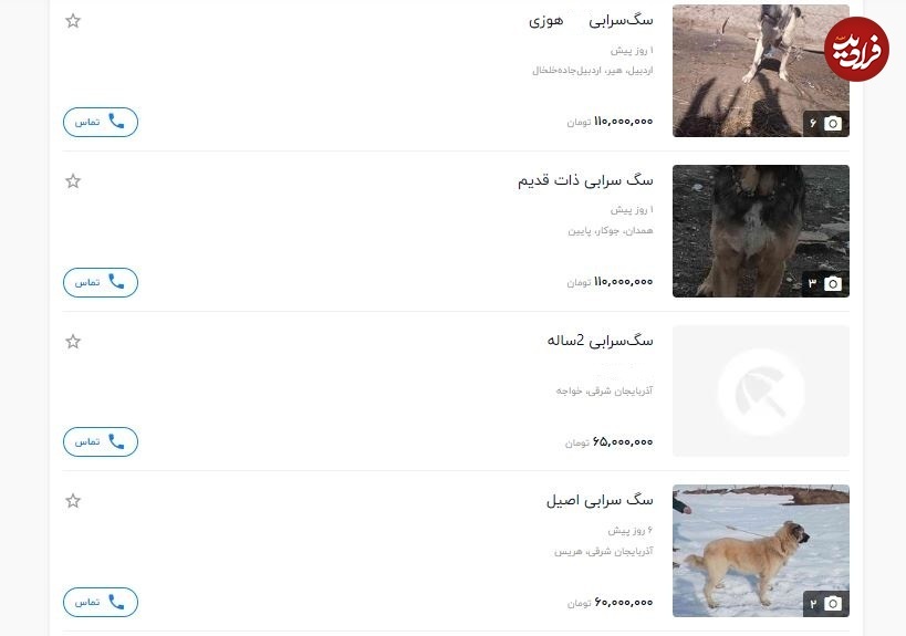 قیمت‌های عجیب سگ سرابی