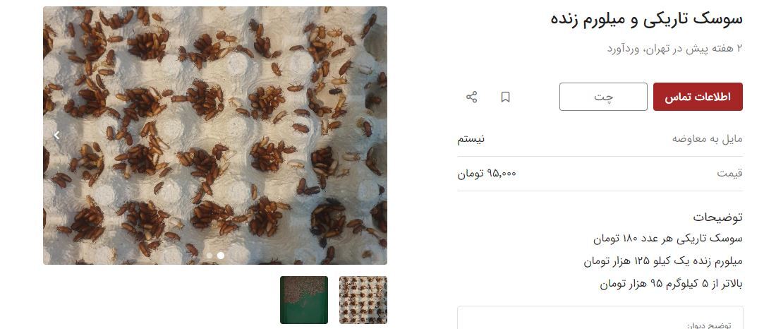 سوسک هم قیمتی شد / ۲۰ هزار عدد ۵ میلیون تومان!