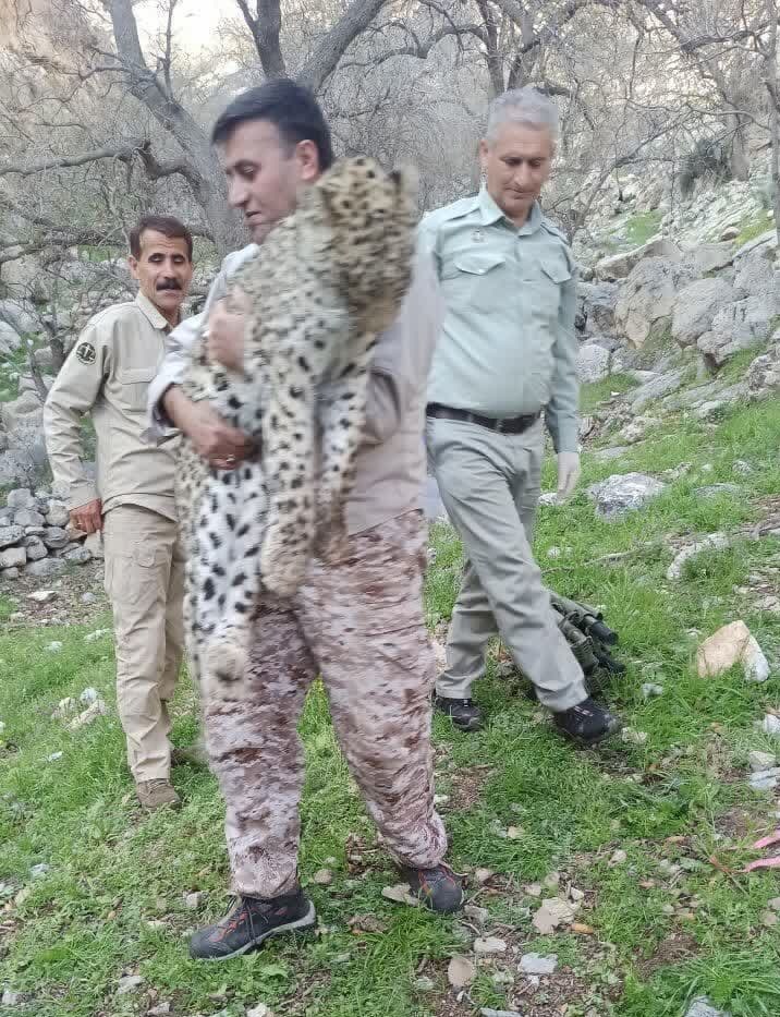 (عکس)