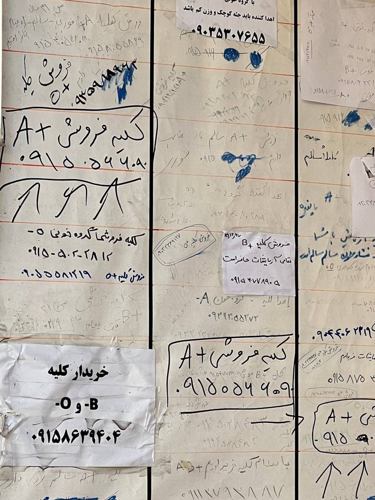 تصاویری از مشهد که با دیدن‌شان مات و مبهوت می‌شوید