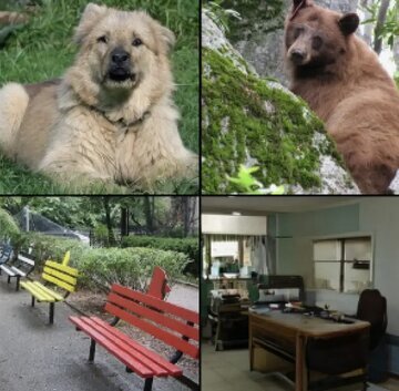 (تصاویر) شگفت انگیزترین یافته درباره ترسناک‌ترین پیشرفت جدید بشر!