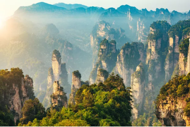 افسانه جنگلی: جنگل های غیر معمول در جهان