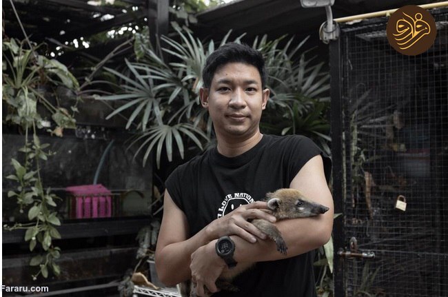 حیوانات تایلندی