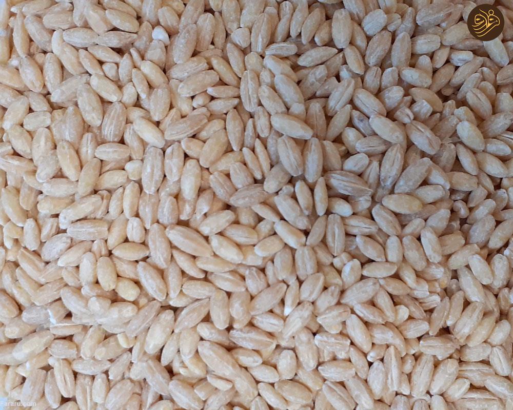 گندم پوست کنده