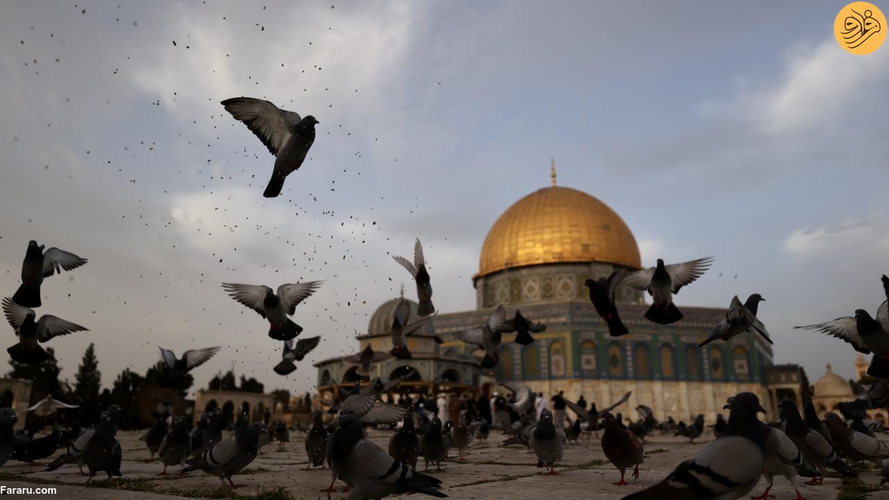 (تصاویر)