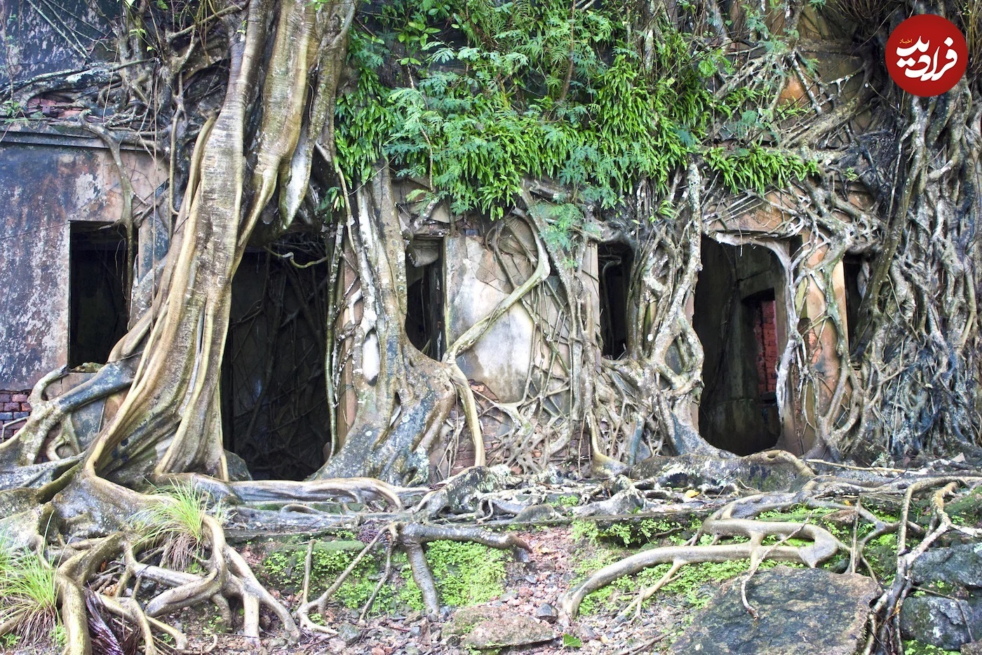 (تصاویر) ۸ شهر متروکه که به تسخیر طبیعت درآمدند