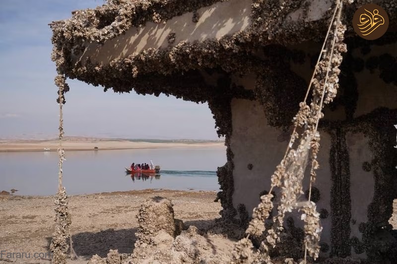 (تصاویر)