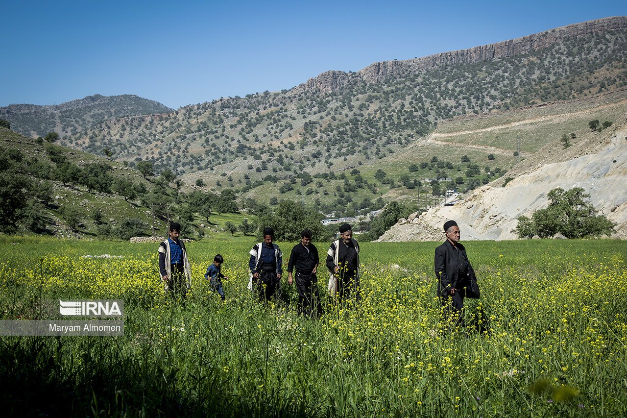 (تصاویر) آیین دست بوسون عروسی بختیاری (تصاویر) آیین دست بوسون عروسی بختیاری