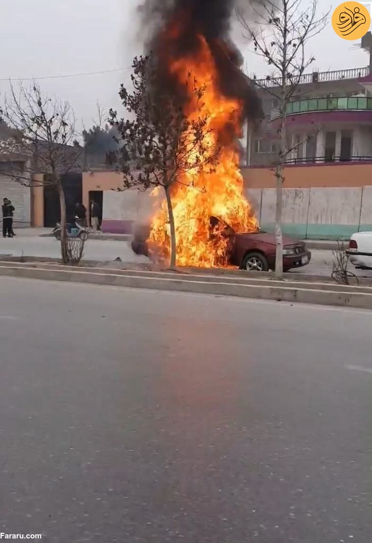 (ویدئو)
