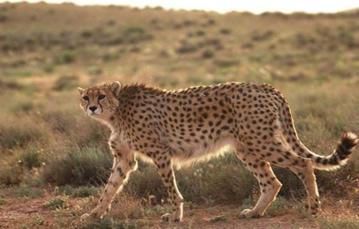 خط داغ اخبار روز شنبه ۱۶ اردیبهشت ۱۴۰۲