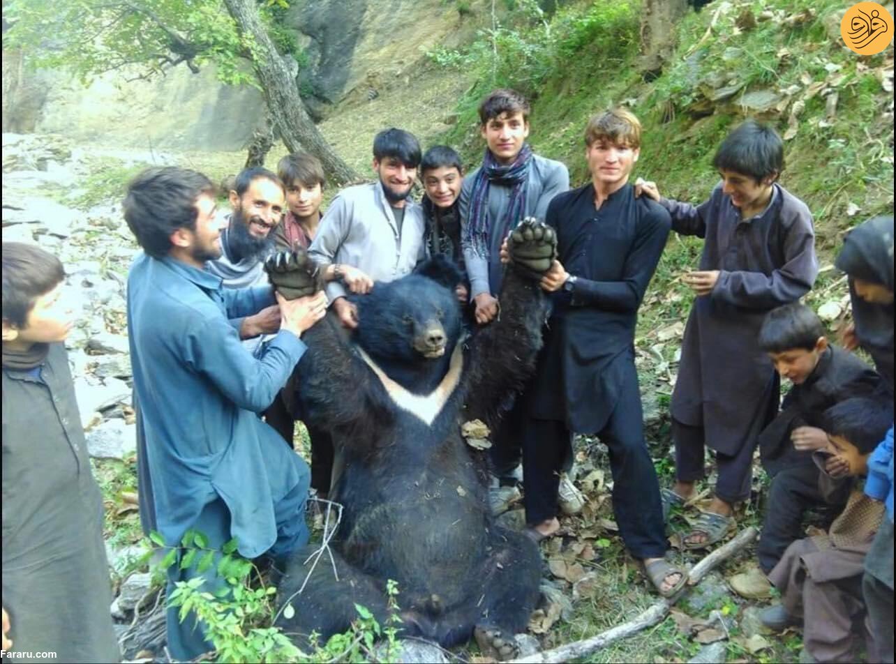 (عکس)