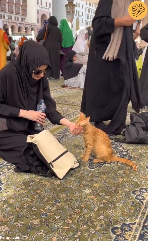 (عکس)