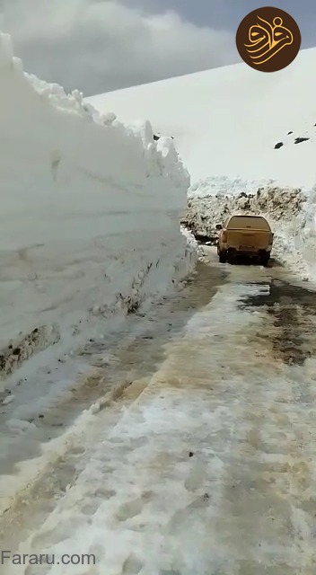 (عکس)