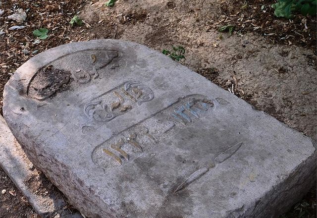 در این نقطه از تهران، سبزترین موجودات جهان بغلتان می‌کنند