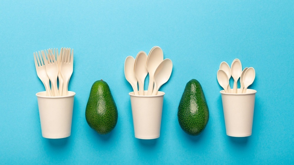 (تصاویر) پتنت فناوری شرکت مکزیکی برای متفاوت‌ترین استفاده از هسته آووکادو در جهان!