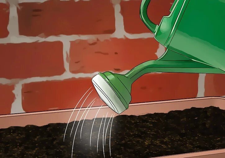 چگونه بامبو را قلمه بزنیم؟ / ۳ روش آسان برای تکثیر بامبو؛ گیاهی که نماد خوش‌یمنی است//