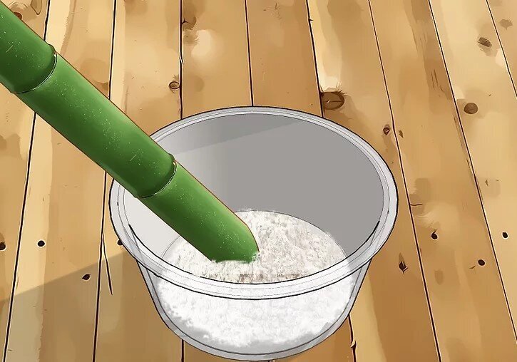 چگونه بامبو را قلمه بزنیم؟ / ۳ روش آسان برای تکثیر بامبو؛ گیاهی که نماد خوش‌یمنی است//