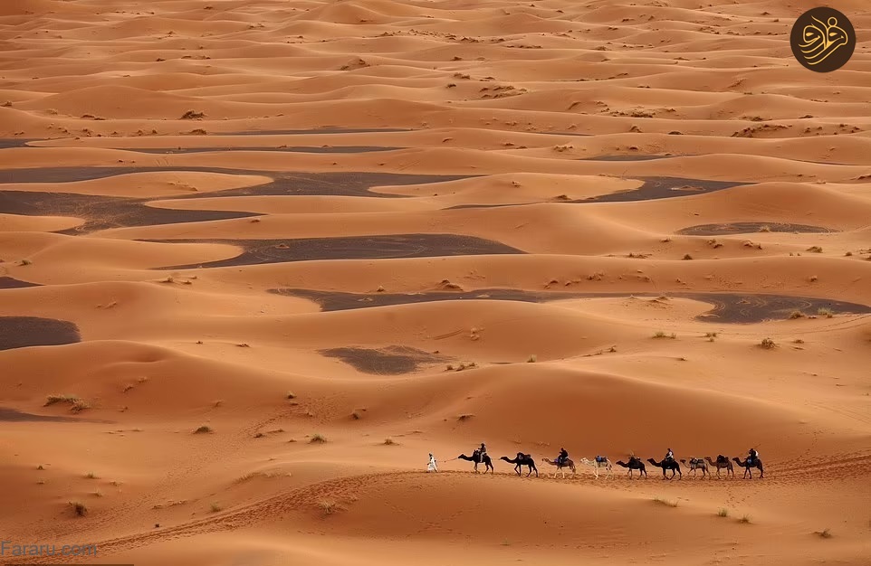 (تصاویر)
