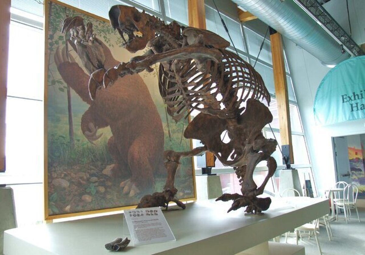 (تصاویر) از سوسک هیتلر تا مار دی‌کاپریو/ جنجال انتخاب نام‌ افراد مشهور برای جانوران