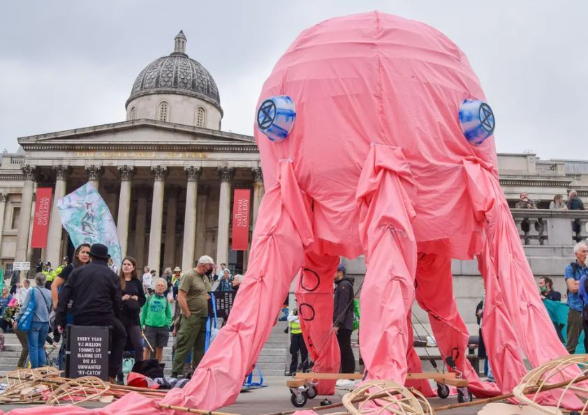 دنیای جدید پرورش اختاپوس؛ کاری که انسان‌ها نباید انجام دهند