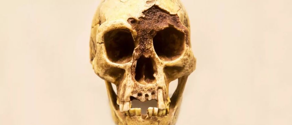 (تصویر) شگفت انگیز: بازسازی چهره یک هابیت ۱۸ هزار ساله!