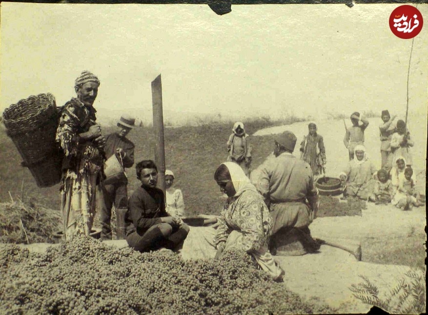 از مطرب تا کفترباز؛ عکس‌هایی از زندگی روزمره در دوران قاجار