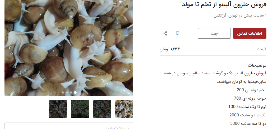 خرید و فروش عجیب در فضای مجازی / ۵ تا جوجه حلزون نیم میلیون!