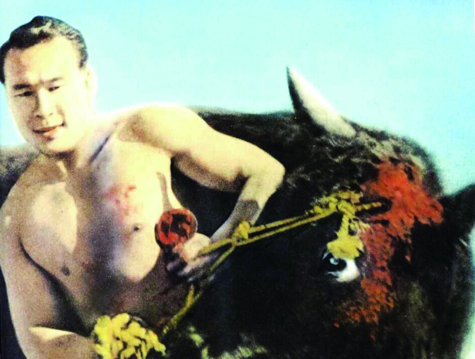 (تصاویر) قوی‌ترین مشت دنیا؛ این مرد با دو مشت گاوهای وحشی را می‌کشت