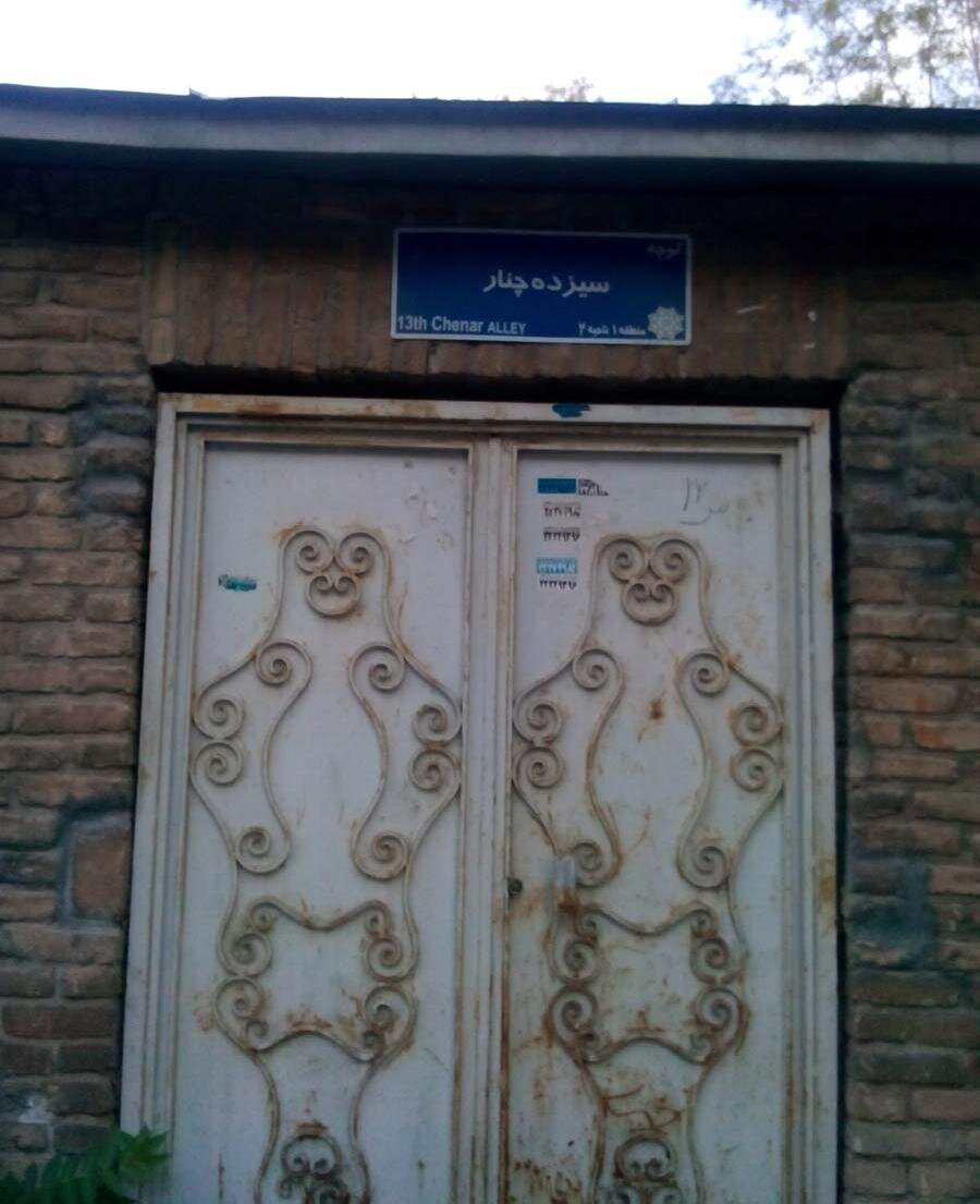 داستان متفاوت‌ترین چنار تهران/ چرا این درخت ۱۳تنه دارد؟ / ماجرای چهل‌چنار چه بود؟