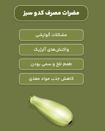 خواص کدو سبز؛ از درمان کبد چرب تا جلوگیری از افزایش وزن