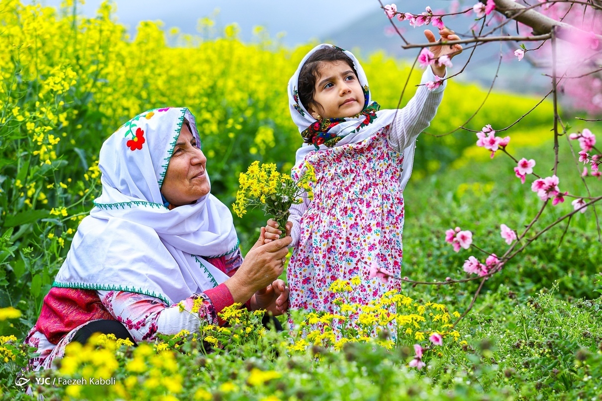 بهترین متن‌ها برای تبریک سال نو و نوروز ۱۴۰۴