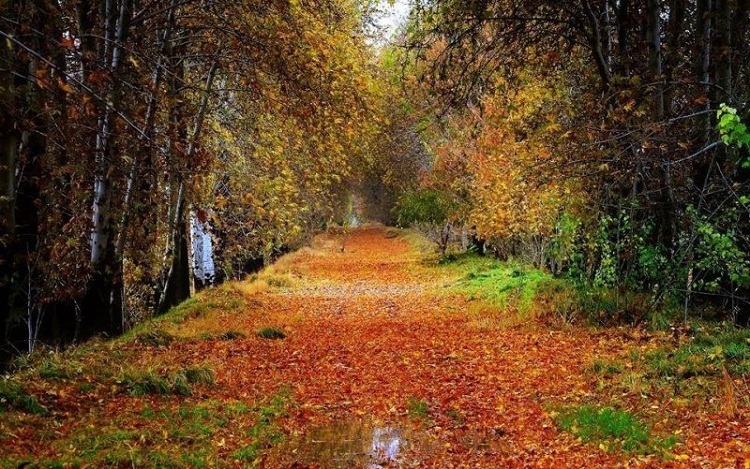 پیشنهاد سفر یک روزه به روستاهای غرب تهران؛ از آتشگاه تا برغان