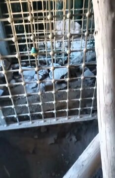 هرجا امامزاده هست گنج وجود دارد؟