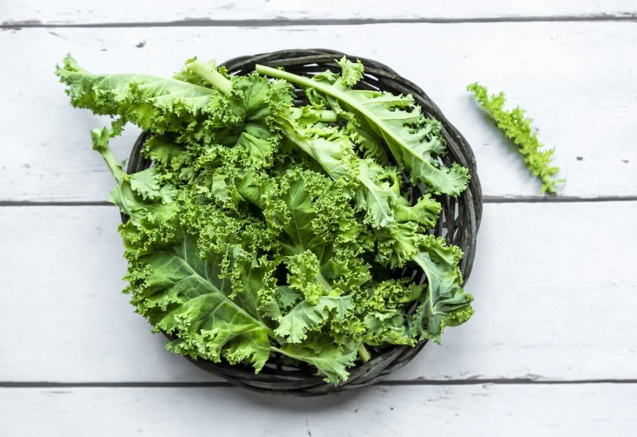 مواد غذایی کم کالری برای کمک به شما در کاهش وزن/