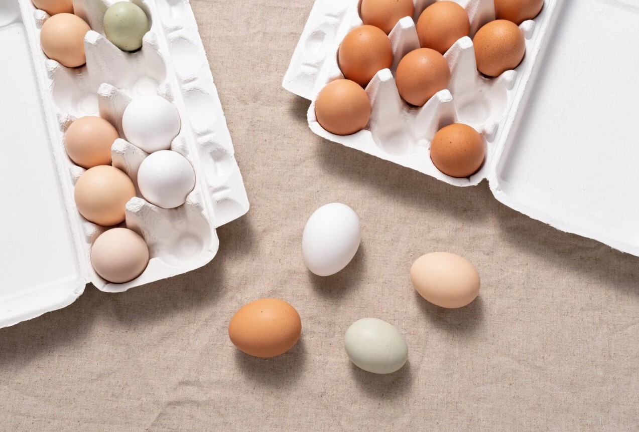 مواد غذایی کم کالری برای کمک به شما در کاهش وزن/