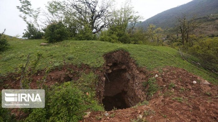 جنگل‌های هیرکانی