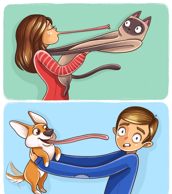 گربه‌ها و سگ‌ها