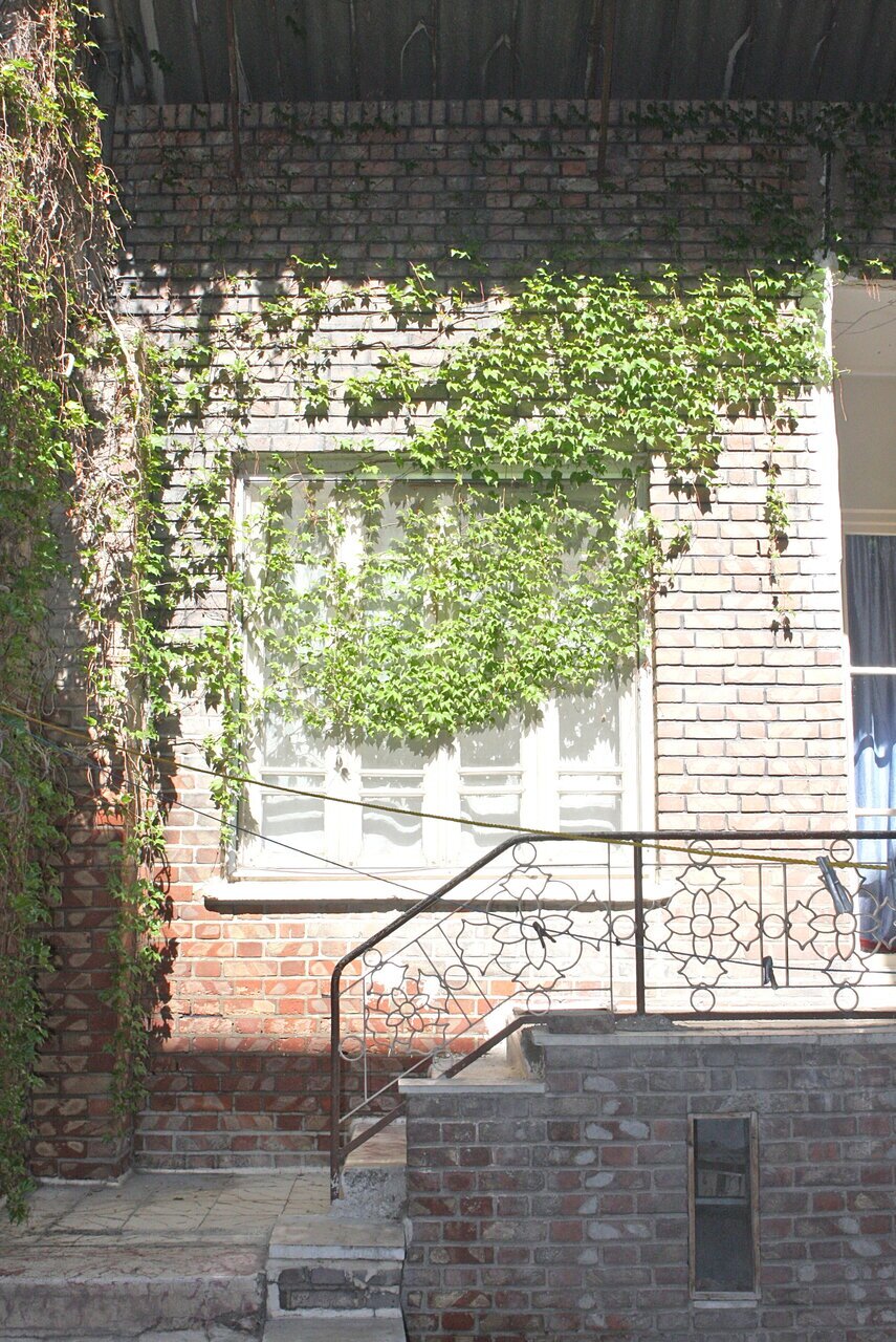 از خانه سیدها تا بهار فکه ؛ چند برگ از زندگی سید شهیدان اهل قلم سیدمرتضی آوینی