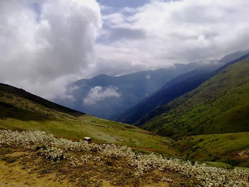 جواهردشت؛ عروس مراتع مخملی شمال ایران