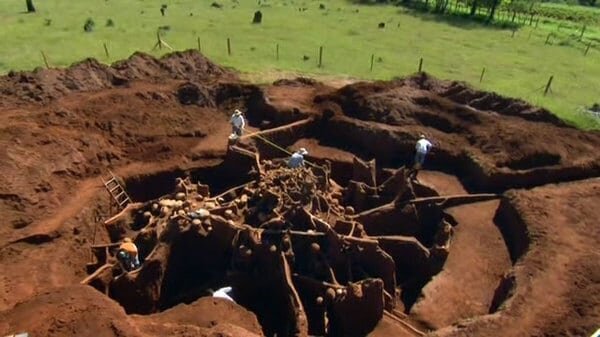 (عکس) نتیجه باورنکردنی ریختن سیمان در لانه مورچه‌ها