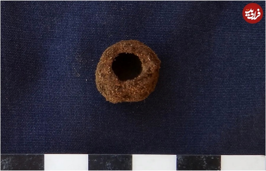 راز «گرده‌های گل» در گور انسان‌های نئاندرتال؛ پای چه موجودی در میان است؟!