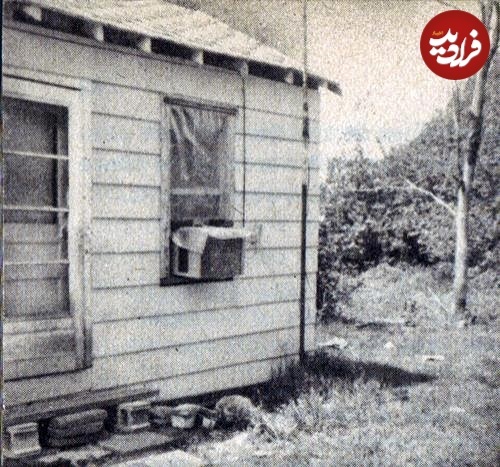 هیولای چشم‌صورتی اِنفیلد؛ کانگورو، میمون یا موجود فضایی؟!