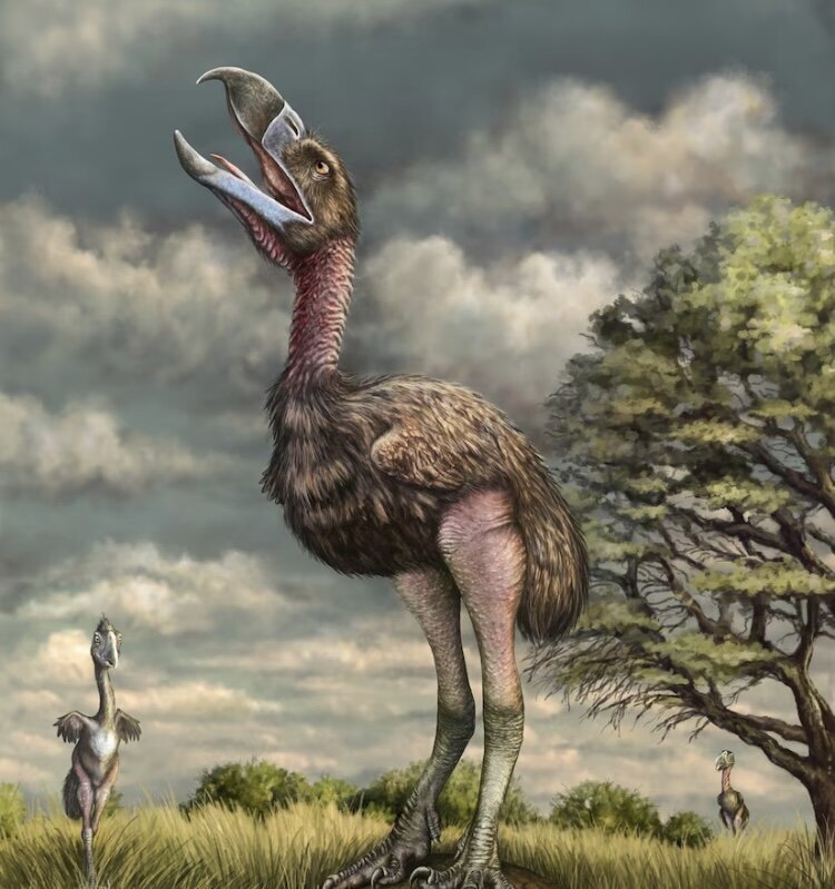 (عکس) هولناک‌ترین پرنده تاریخ/ هیولایی که نامش هم ترسناک است