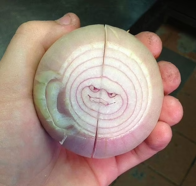 تصاویری از غذا‌های ناخوشایند و ترسناکی که اشتهایتان را کور می‌کند!