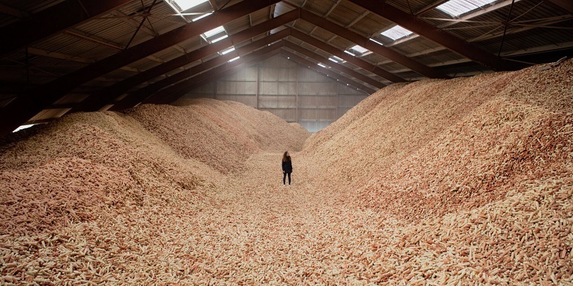 کورن وال؛ دیوار فاقد کربن با قابلیت استفاده مجدد