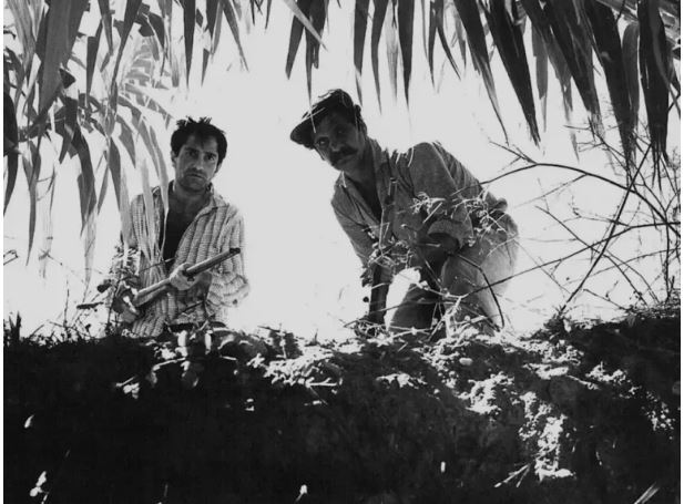 ۱۰ فیلم برتر تاریخ سینمای ترکیه که باید دید؛ از Time to Love تا The Wild Pear Tree//