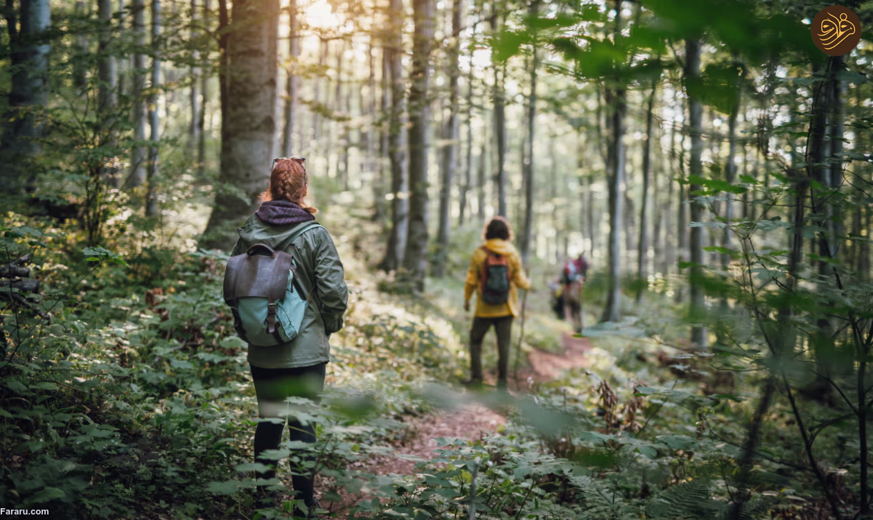 درمان طبیعت: چگونه گذراندن زمان در فضای باز حافظه، تخیل و منطق ما را دگرگون می کند/ بدون تعامل با محیط های طبیعی مغزمان به خوبی کار نمی کند/ لزوم قرار گرفتن در طبیعت یک امر لاکچری نیست بلکه یک ضرورت است