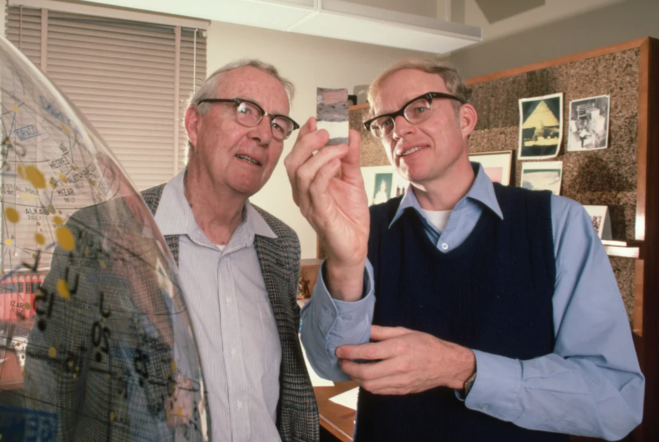 انقراض دسته جمعی چیست و چرا دانشمندان فکر می کنند ما در میانه یک انقراض قرار داریم؟ (مطالب سی ان ان معمولا زود میسوزن زیرنویس عکس ها در متن گنجانده و ذکر شده اند)