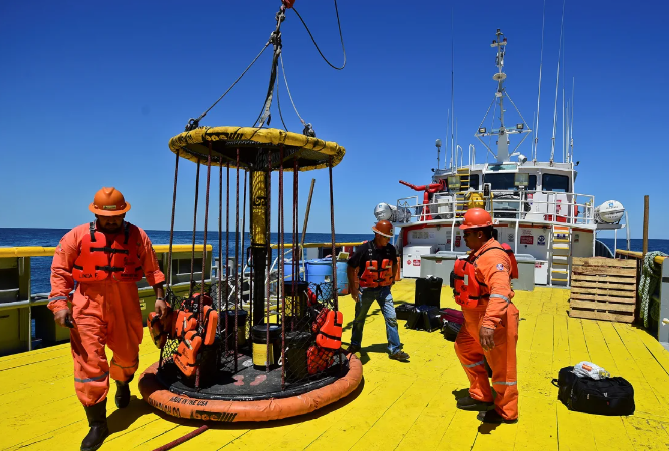 انقراض دسته جمعی چیست و چرا دانشمندان فکر می کنند ما در میانه یک انقراض قرار داریم؟ (مطالب سی ان ان معمولا زود میسوزن زیرنویس عکس ها در متن گنجانده و ذکر شده اند)